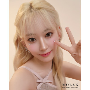 MOLAK 1day Twinkle Brown モラク ワンデー トゥインクルブラウン